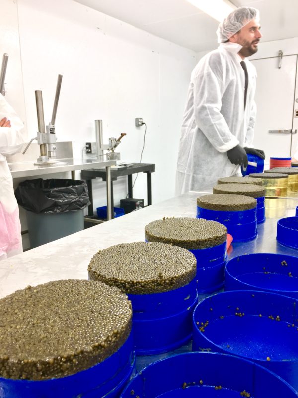 Petrossian Caviar | The NYC Kitchen