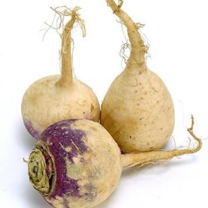 rutabaga1