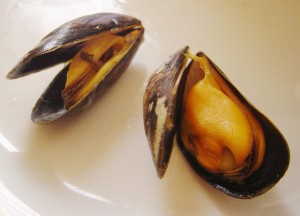mussels